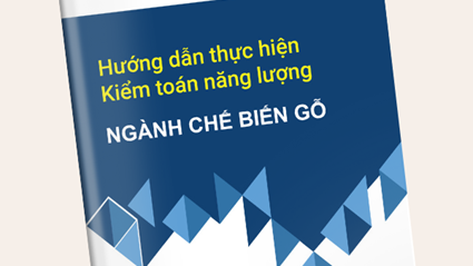 Hướng dẫn kiểm toán năng lượng ngành chế biến gỗ