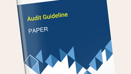 Paper - Sector Specific Annex to Audit Guideline under the EE Incentive Scheme for energy intensive industries in Vietnam