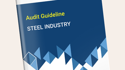 Steel Industry - Sector Specific Annex to Audit Guideline under the EE Incentive Scheme for energy intensive industries in Vietnam