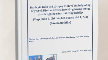 Báo cáo khảo sát "Đánh giá tuân thủ các quy định về Quản lý năng lượng và Định mức tiêu hao năng lượng trong doanh nghiệp sản xuất công nghiệp (Hợp phần 3, Chỉ tiêu kết quả cụ thể 1,2,3)"