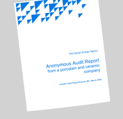 Anonymous Audit Report from a porcelain and ceramic company