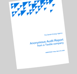 Anonymous Audit Report from a Textile company