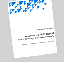 Anonymous Audit Report from a Beverage production company