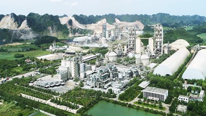 Chi nhánh Công ty TNHH Long Sơn tại Thanh Hóa - Nhà máy xi măng Long Sơn