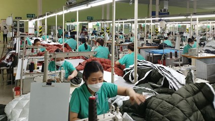 Nhà máy Sợi Vinatex Nam Định
