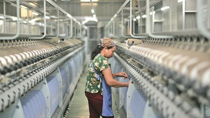 Công ty Cổ phần Dệt Lụa Nam Định