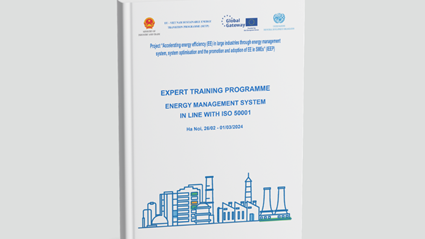 Training program materials: "Energy management system in line with ISO 50001"