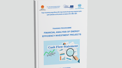 Training program materials: "Financial analysis of energy efficiency investment projects"