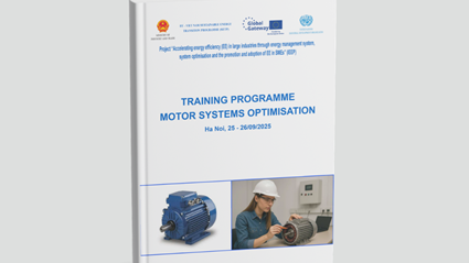 Training program materials: "Motor systems optimisation"