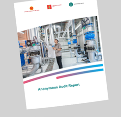 Anonymous Audit Report at a paper production plant