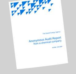 Anonymous Audit Report from a chemical company