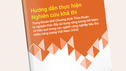 Hướng dẫn thực hiện nghiên cứu khả thi theo Thoả thuận tự nguyện thúc đẩy sử dụng năng lượng tiết kiệm và hiệu quả trong các ngành công nghiệp tiêu thụ nhiều năng lượng Việt Nam (VAS)