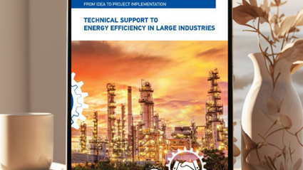 Brochure: Technical support to energy efficiency in large industries