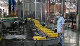 Sơ đồ năng lượng: Chìa khóa giúp doanh nghiệp "bắt mạch" điểm nóng tiêu thụ năng lượng