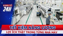 Tiết kiệm năng lượng – Lợi ích thật trong từng nhà máy