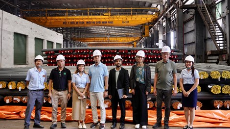 Hợp tác năng lượng Việt Nam – Đan Mạch thúc đẩy chuyển đổi xanh tại doanh nghiệp Việt Nam thông qua hiệu quả năng lượng