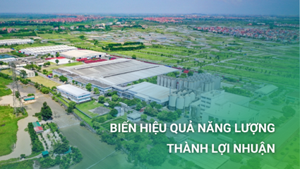 Biến hiệu quả năng lượng thành lợi nhuận: Khi những “quả mọng dễ hái” cũng có thể đem lại hiệu quả đáng kể