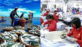 Tọa đàm kỹ thuật “Kiểm toán năng lượng trình diễn trong ngành thủy sản và ngành dệt may”